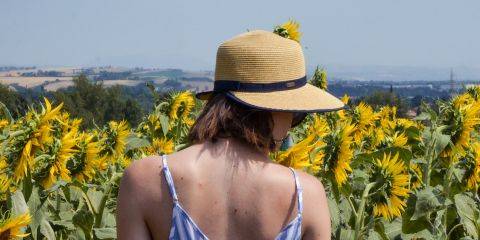 明明没变红但肌肤却黑了?一晒到太阳就泛红脱皮，但肌肤却一样白皙?所以防晒黑也等于防晒伤吗?其实「晒黑」跟「晒伤」并不一样喔!就让本文替你解答一下吧。