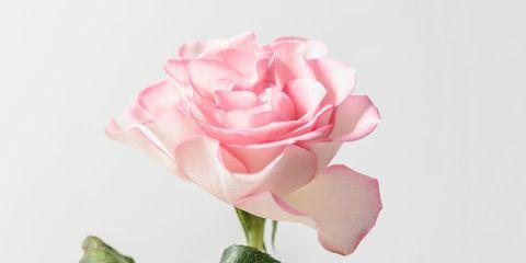 想抗老却不想动刀?那你一定要了解一下「美容针」，只需细细一针便能轻松紧致肌肤、抚平皱纹。究竟这种美容针跟一般针灸有什么不同呢?快一起来看看吧。