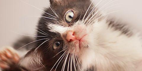 了解了敏感肌的古怪脾气后，现在是时候让它乖乖听话了!今天本篇文章教你三招保养技巧，帮助你对抗敏感肌的小脾气。