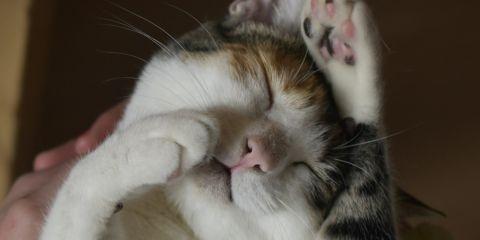 天气转凉后，肌肤特别容易觉得干痒不适?即使擦了保湿乳液效果还是很有限?其实，冬季皮肤痒的问题不一定是干燥造成的。今天就让本篇文章告诉你还有什么因素造成冬季干痒吧。