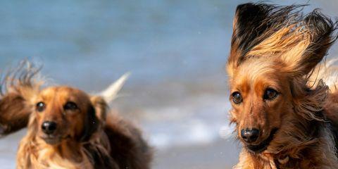 想要开心玩水又不让耳朵受伤吗?今天就让本篇文章来和你分享几个简单的预防游泳耳小妙招，让你玩水时更轻松自在。