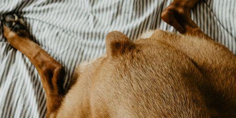 在了解为什么会长肛毛后,你是否也想知道肛毛对我们有什么影响呢?今天就让本篇文章来带你看看肛毛都有哪些好处和坏处吧!