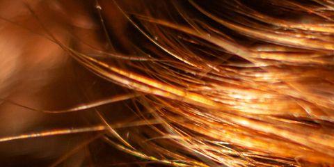 是不是也曾为头发毛躁、干涩、没有光泽而烦恼?其实,这很可能是毛鳞片受损的警讯!想要好好照顾毛发的健康,现在就跟着本篇文章一起了解一下毛发的剖面藏着什么保养讯息吧。