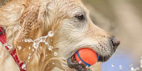 想要玩水同时维持稳定健康的肌肤吗?今天就让本篇文章教你几个简单又有效的预防热水浴毛囊炎的小秘诀,一起来看看吧。