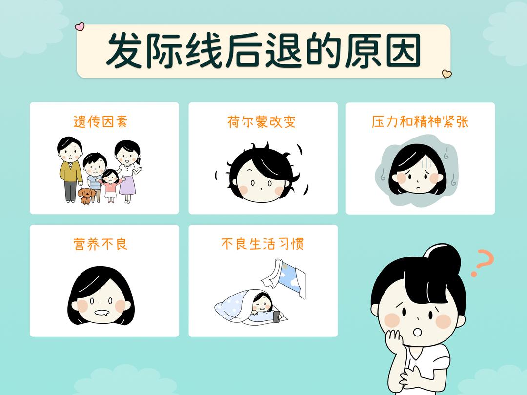 发际线后退的原因